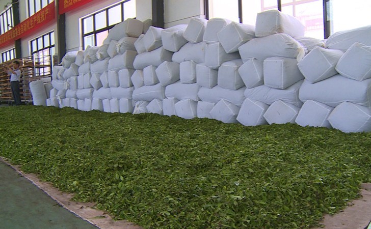 厉害了!谷城120吨茶叶乘湖北首趟茶叶专列远销俄罗斯开云 开云体育(图2) 厉害了!谷城120吨茶叶乘湖北首趟茶叶专列远销俄罗斯开云 开云体育(图2)