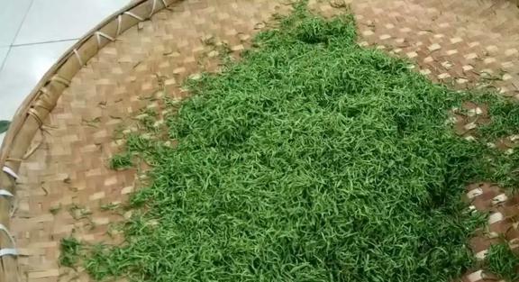 全国哪里的开云体育 开云平台茶叶最值得喝?上万名茶客评出这4款看有你家乡的吗(图13) 全国哪里的开云体育 开云平台茶叶最值得喝?上万名茶客评出这4款看有你家乡的吗(图13)
