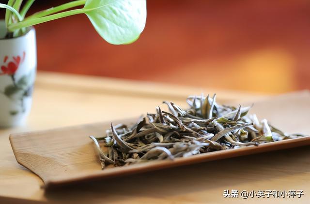 开云体育 开云官网想要茶叶越存越香?三大原则要知道了解全面茶叶才能不掉价(图3) 开云体育 开云官网想要茶叶越存越香?三大原则要知道了解全面茶叶才能不掉价(图3)