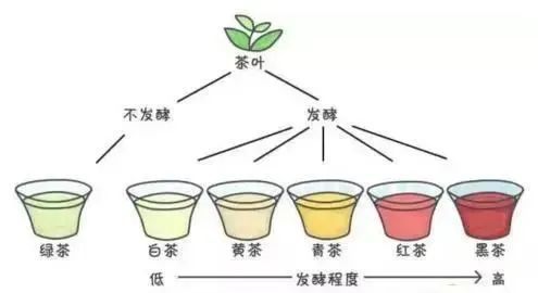 茶叶的最佳品饮时间喝开云体育 开云平台出好滋味(图11) 茶叶的最佳品饮时间喝开云体育 开云平台出好滋味(图11)