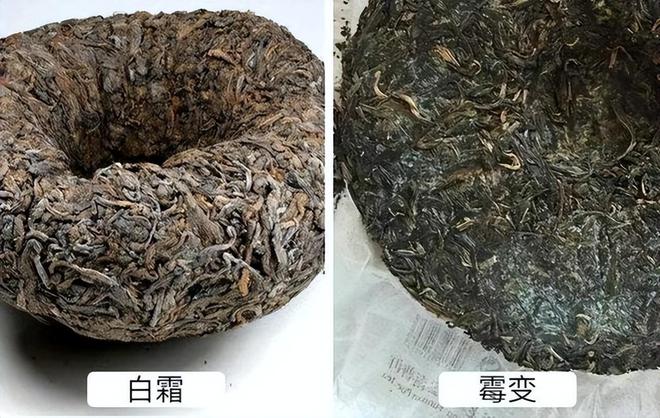 开云体育 开云官网湖南一茶友拿出家中放了7、8年的茶叶问还能喝吗(图4) 开云体育 开云官网湖南一茶友拿出家中放了7、8年的茶叶问还能喝吗(图4)