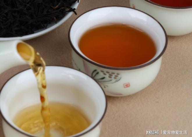 真可耻!茶叶造假再添新招遇到这2类茶别再买了!难喝还有开云体育 开云平台害(图7) 真可耻!茶叶造假再添新招遇到这2类茶别再买了!难喝还有开云体育 开云平台害(图7)