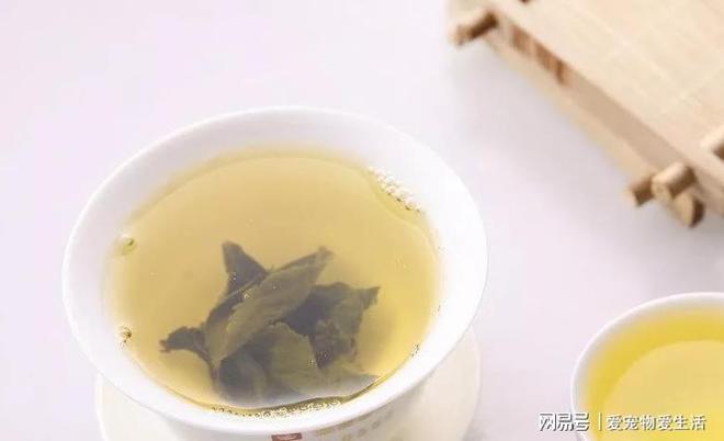 真可耻!茶叶造假再添新招遇到这2类茶别再买了!难喝还有开云体育 开云平台害(图5) 真可耻!茶叶造假再添新招遇到这2类茶别再买了!难喝还有开云体育 开云平台害(图5)