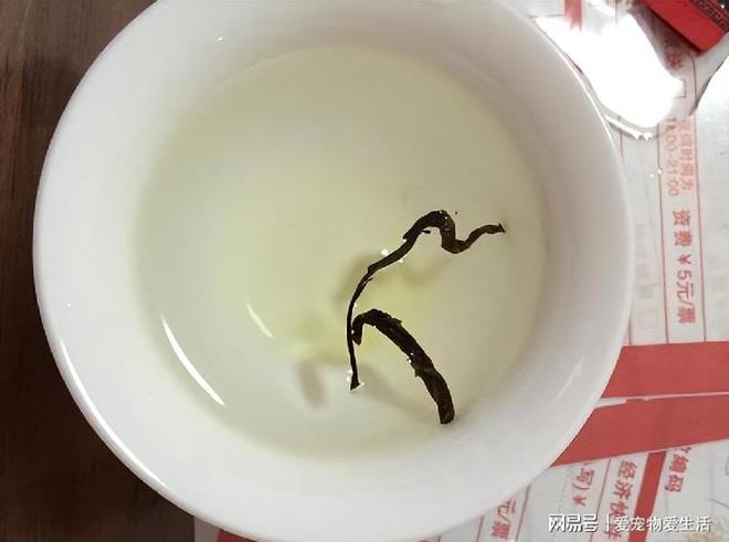 真可耻!茶叶造假再添新招遇到这2类茶别再买了!难喝还有开云体育 开云平台害(图4) 真可耻!茶叶造假再添新招遇到这2类茶别再买了!难喝还有开云体育 开云平台害(图4)