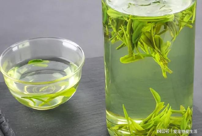 真可耻!茶叶造假再添新招遇到这2类茶别再买了!难喝还有开云体育 开云平台害(图9) 真可耻!茶叶造假再添新招遇到这2类茶别再买了!难喝还有开云体育 开云平台害(图9)