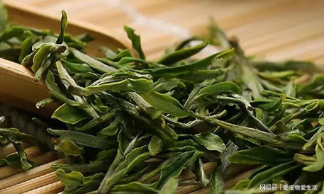 真可耻!茶叶造假再添新招遇到这2类茶别再买了!难喝还有开云体育 开云平台害(图8) 真可耻!茶叶造假再添新招遇到这2类茶别再买了!难喝还有开云体育 开云平台害(图8)