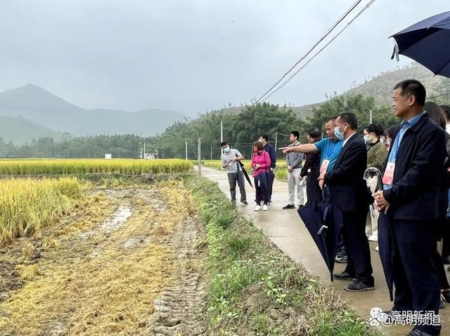 无人收割机、茶叶量产化……来看看高明国资“力量”开云 开云体育!(图2) 无人收割机、茶叶量产化……来看看高明国资“力量”开云 开云体育!(图2)