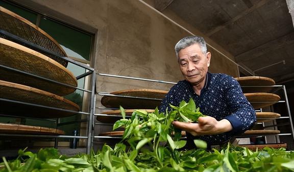 “冬喝茶心不开云 开云体育慌”!行家建议:入冬喝茶牢记“2喝2不喝”(图13) “冬喝茶心不开云 开云体育慌”!行家建议:入冬喝茶牢记“2喝2不喝”(图13)