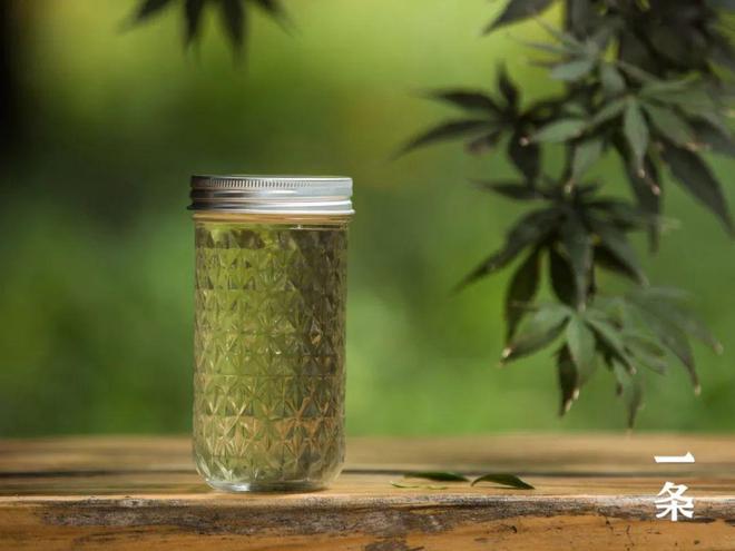 市面难得一见的栀开云体育 开云官网子乌龙茶手工古法窨制有花香、奶香、蜜香……(图9) 市面难得一见的栀开云体育 开云官网子乌龙茶手工古法窨制有花香、奶香、蜜香……(图9)