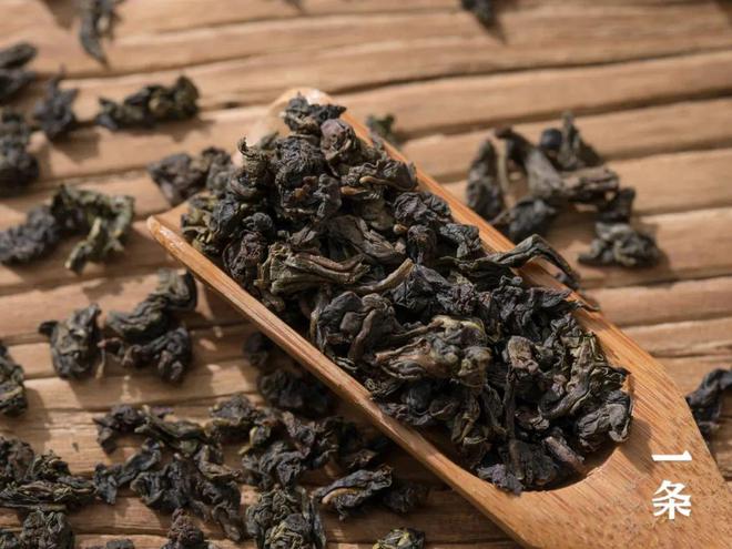 市面难得一见的栀开云体育 开云官网子乌龙茶手工古法窨制有花香、奶香、蜜香……(图17) 市面难得一见的栀开云体育 开云官网子乌龙茶手工古法窨制有花香、奶香、蜜香……(图17)
