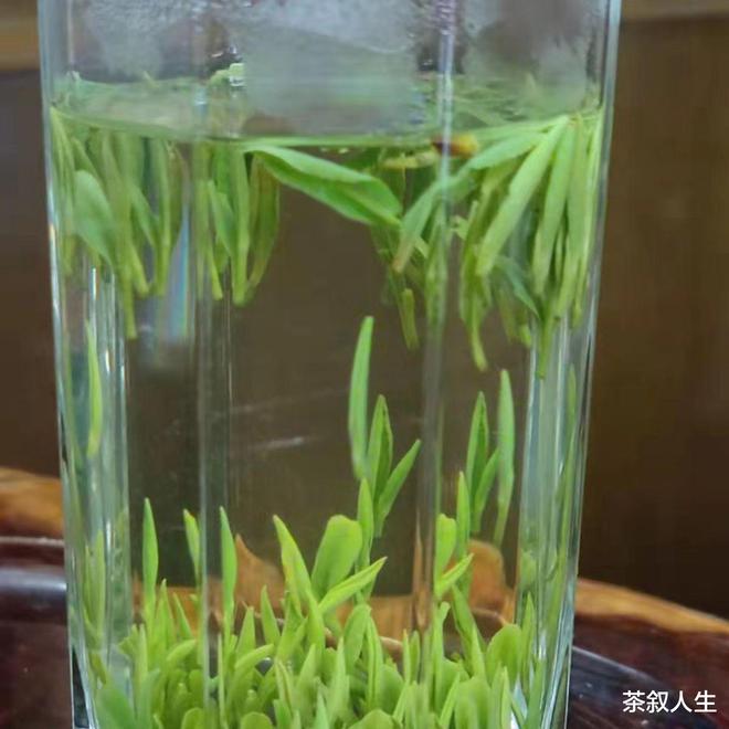 开云体育 开云平台浙江省的名茶你知道几种?(图4) 开云体育 开云平台浙江省的名茶你知道几种?(图4)