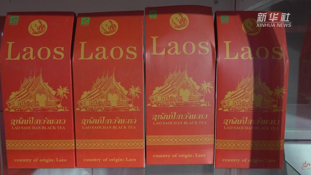 开云体育 开云官网第五届进博会|搭中老铁路上进博会——老挝茶叶的自述(图1) 开云体育 开云官网第五届进博会|搭中老铁路上进博会——老挝茶叶的自述(图1)