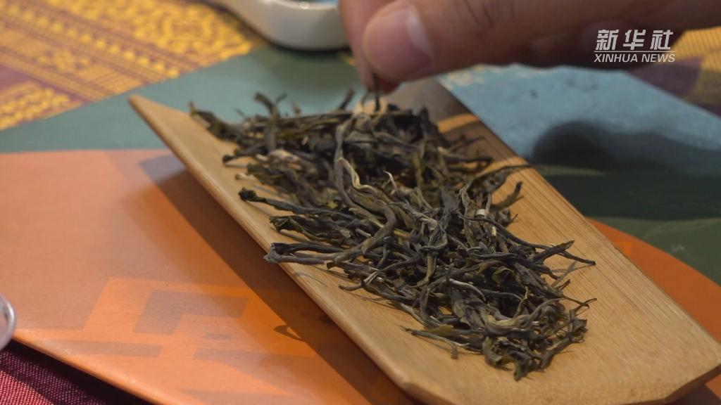 开云体育 开云官网第五届进博会|搭中老铁路上进博会——老挝茶叶的自述(图2) 开云体育 开云官网第五届进博会|搭中老铁路上进博会——老挝茶叶的自述(图2)