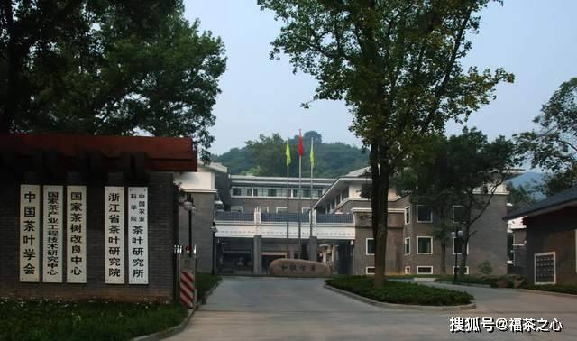 茶史篇 回望中国茶叶100年(完整版)开云 开云体育APP(图10) 茶史篇 回望中国茶叶100年(完整版)开云 开云体育APP(图10)