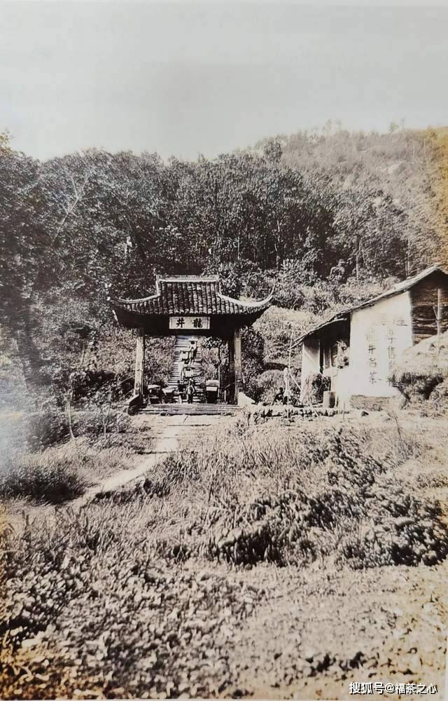 茶史篇 回望中国茶叶100年(完整版)开云 开云体育APP(图6) 茶史篇 回望中国茶叶100年(完整版)开云 开云体育APP(图6)