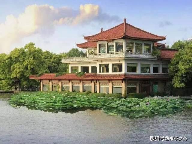 茶史篇 回望中国茶叶100年(完整版)开云 开云体育APP(图15) 茶史篇 回望中国茶叶100年(完整版)开云 开云体育APP(图15)