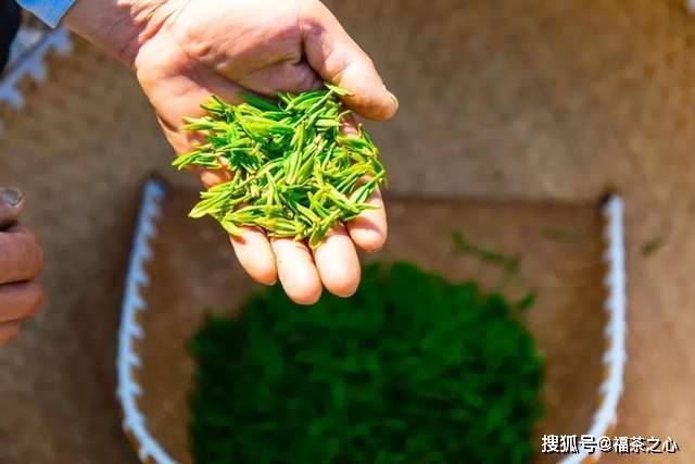 茶史篇 回望中国茶叶100年(完整版)开云 开云体育APP(图28) 茶史篇 回望中国茶叶100年(完整版)开云 开云体育APP(图28)