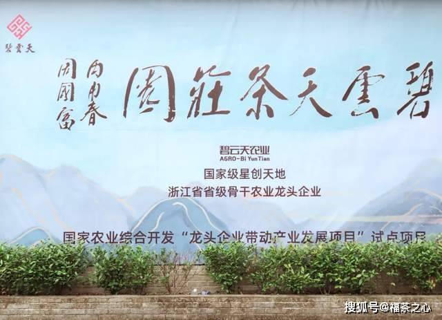 茶史篇 回望中国茶叶100年(完整版)开云 开云体育APP(图34) 茶史篇 回望中国茶叶100年(完整版)开云 开云体育APP(图34)