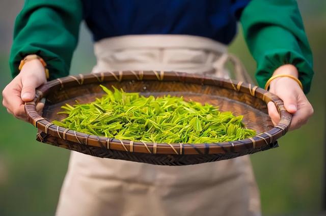 开云体育 开云官网颠覆三观!茶叶造假竟这么猖狂原来这3类是“添加茶”别喝了(图15) 开云体育 开云官网颠覆三观!茶叶造假竟这么猖狂原来这3类是“添加茶”别喝了(图15)