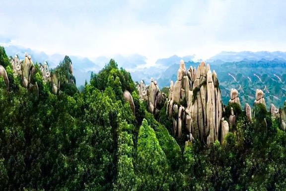 独占中国茶业半壁江山!闽茶为什么豪横?开云 开云体育细数大福建的“七宗最”(图8) 独占中国茶业半壁江山!闽茶为什么豪横?开云 开云体育细数大福建的“七宗最”(图8)