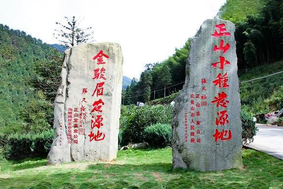 独占中国茶业半壁江山!闽茶为什么豪横?开云 开云体育细数大福建的“七宗最”(图10) 独占中国茶业半壁江山!闽茶为什么豪横?开云 开云体育细数大福建的“七宗最”(图10)