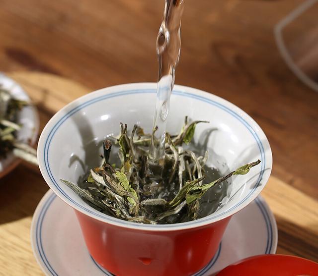 开云 开云体育平台茶叶怎么泡才好喝?泡茶顺序很重要记住3点茶汤香醇又甘甜(图12) 开云 开云体育平台茶叶怎么泡才好喝?泡茶顺序很重要记住3点茶汤香醇又甘甜(图12)