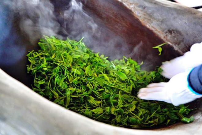 开云 开云体育APP普洱茶的树龄越大茶叶品质就一定越好吗?十年经验告诉你并不绝对!(图4) 开云 开云体育APP普洱茶的树龄越大茶叶品质就一定越好吗?十年经验告诉你并不绝对!(图4)