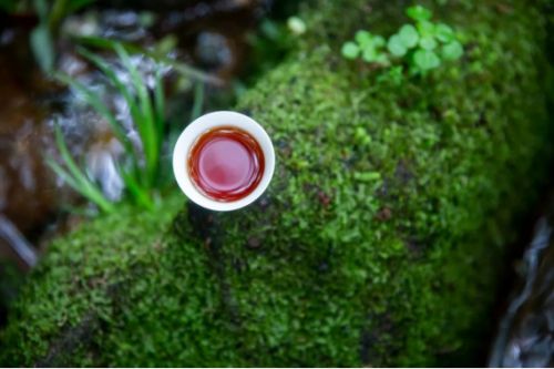 丹苑茶开云体育 开云官网业:丹山碧水里的武夷岩茶(图2) 丹苑茶开云体育 开云官网业:丹山碧水里的武夷岩茶(图2)