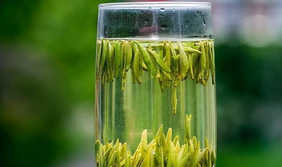 保存茶叶最忌直接放冰箱?掌握这3种方法放多久还是一样好喝开云 开云体育(图14) 保存茶叶最忌直接放冰箱?掌握这3种方法放多久还是一样好喝开云 开云体育(图14)