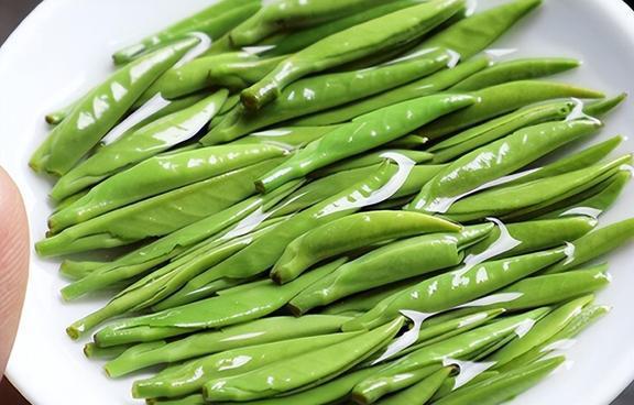 保存茶叶最忌直接放冰箱?掌握这3种方法放多久还是一样好喝开云 开云体育(图16) 保存茶叶最忌直接放冰箱?掌握这3种方法放多久还是一样好喝开云 开云体育(图16)