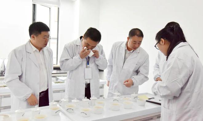 “双项”茶叶赛事加持这个白茶产区背后有哪些开云 开云体育平台支撑点?(图5) “双项”茶叶赛事加持这个白茶产区背后有哪些开云 开云体育平台支撑点?(图5)