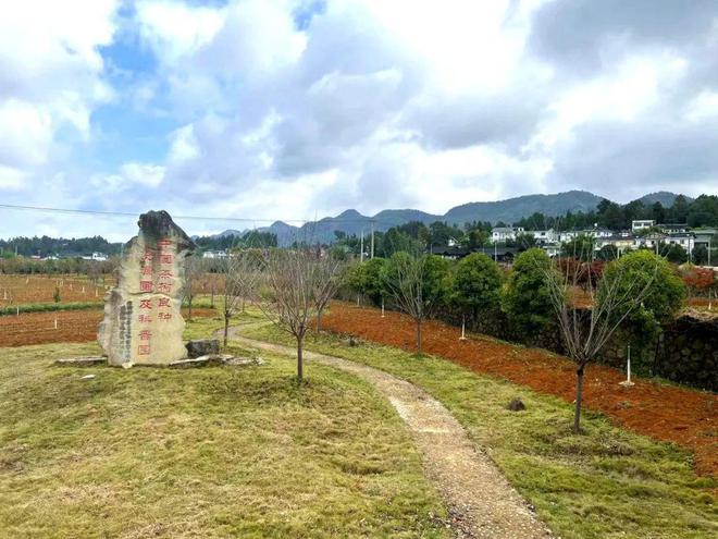 湄潭:建设茶开云 开云体育树良种资源圃完善现代茶业体系!(图4) 湄潭:建设茶开云 开云体育树良种资源圃完善现代茶业体系!(图4)