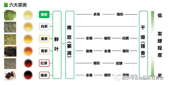 推广蒙顶山茶文化:名山正大茶叶有限公司为名山区蒙顶山实验小学建科普实践开云 开云体育茶园(图3) 推广蒙顶山茶文化:名山正大茶叶有限公司为名山区蒙顶山实验小学建科普实践开云 开云体育茶园(图3)