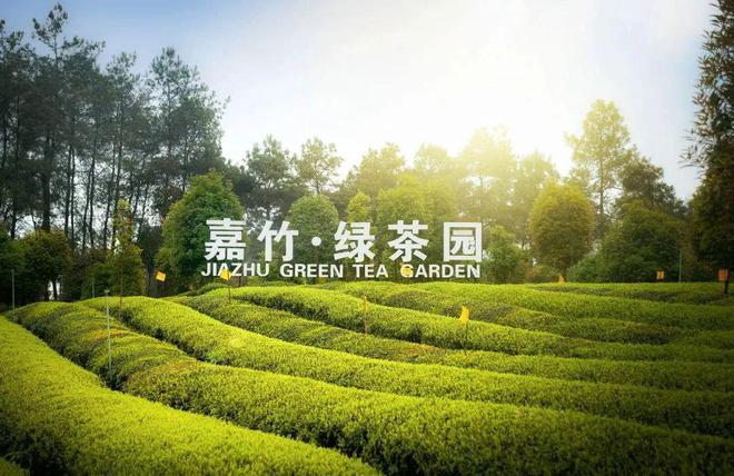 开云 开云体育“蒲江馆”即将亮相第八届成都国际都市现代农业博览会惊喜抢先看!(图3) 开云 开云体育“蒲江馆”即将亮相第八届成都国际都市现代农业博览会惊喜抢先看!(图3)