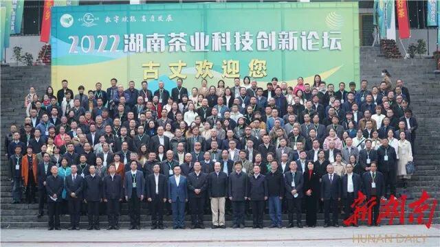 2022年湖开云 开云体育平台南茶业科技创新论坛在古丈举行(图6) 2022年湖开云 开云体育平台南茶业科技创新论坛在古丈举行(图6)