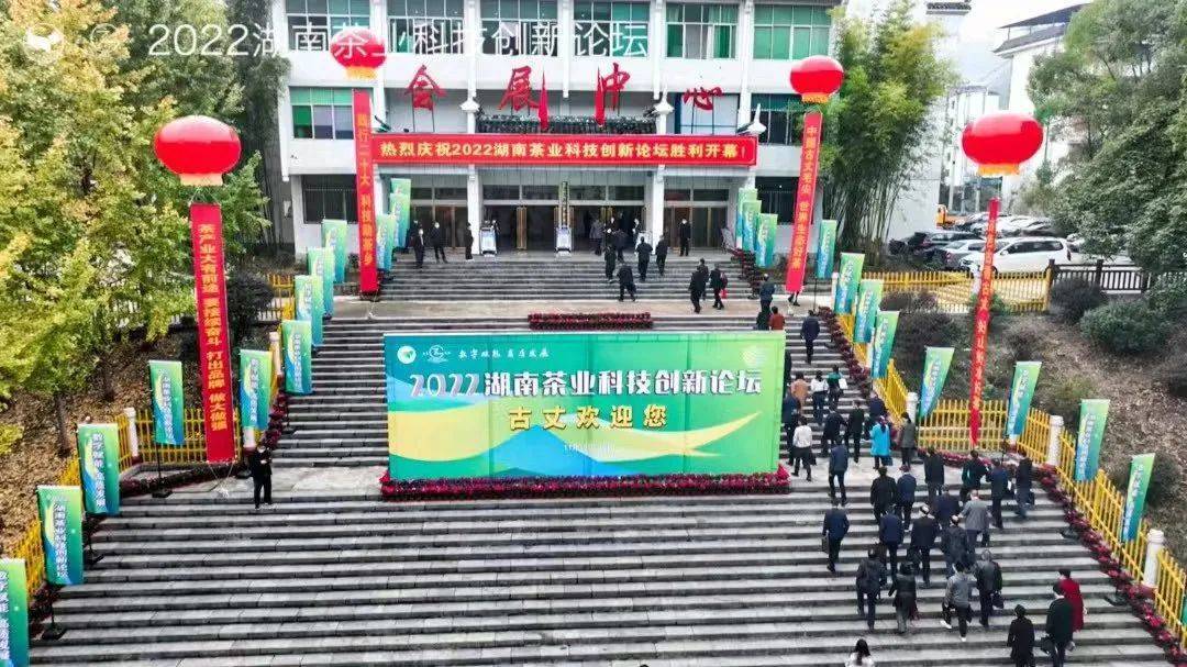 开云 开云体育平台2022湖南茶业科技创新论坛在古丈县成功举办(图2) 开云 开云体育平台2022湖南茶业科技创新论坛在古丈县成功举办(图2)