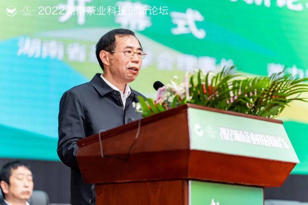 开云 开云体育平台2022湖南茶业科技创新论坛在古丈县成功举办(图4) 开云 开云体育平台2022湖南茶业科技创新论坛在古丈县成功举办(图4)