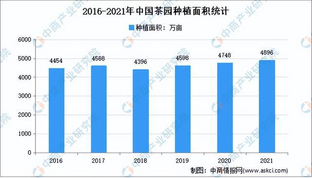 开云体育 开云官网2022年中国茶产业市场前景及研究预测报告(图5) 开云体育 开云官网2022年中国茶产业市场前景及研究预测报告(图5)