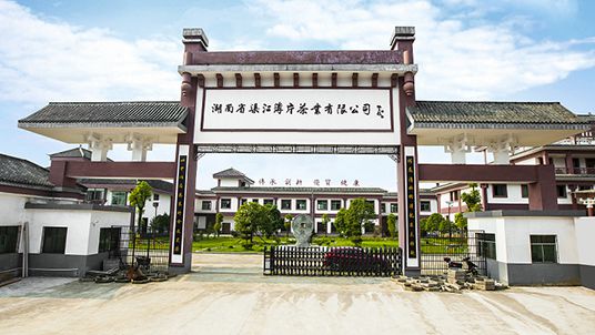 新化红茶能开云 开云体育平台突围吗!(图12) 新化红茶能开云 开云体育平台突围吗!(图12)