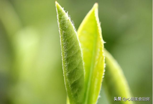 十几块一斤的茶喝着靠谱吗?听开云 开云体育听老茶客怎么说早知道不吃亏(图9) 十几块一斤的茶喝着靠谱吗?听开云 开云体育听老茶客怎么说早知道不吃亏(图9)
