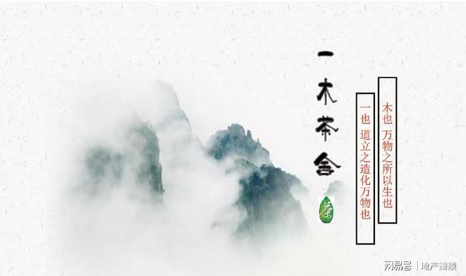 开云 开云体育APP地产观茶家19:茶叶是人生的一部分最大的启示来自泡茶的过程(图2) 开云 开云体育APP地产观茶家19:茶叶是人生的一部分最大的启示来自泡茶的过程(图2)