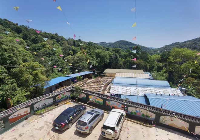 西双版纳乾聘开云体育 开云平台号茶叶有限公司采访录(图2) 西双版纳乾聘开云体育 开云平台号茶叶有限公司采访录(图2)