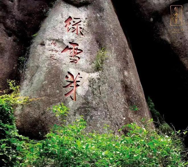 开云体育 开云官网“传世白茶源制纯粹”——福建省天湖茶业有限公司(图2) 开云体育 开云官网“传世白茶源制纯粹”——福建省天湖茶业有限公司(图2)