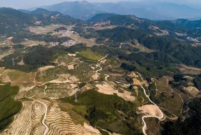 开云 开云体育官网“绿色健康传承匠心”——福建江南茶业有限公司(图3) 开云 开云体育官网“绿色健康传承匠心”——福建江南茶业有限公司(图3)