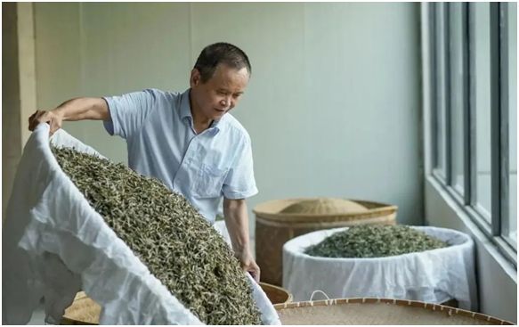 “一杯好茶走进千家万户”——福建省裕荣香茶开云 开云体育APP业有限公司(图3) “一杯好茶走进千家万户”——福建省裕荣香茶开云 开云体育APP业有限公司(图3)