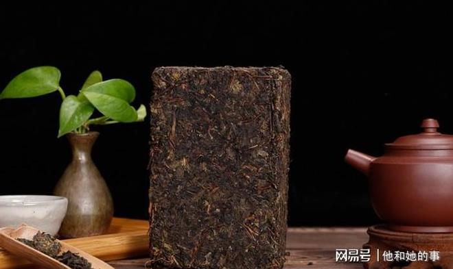 开云 开云体育APP茶叶价格高、低有啥区别?行家:区别不大有3个特点就是好茶(图13) 开云 开云体育APP茶叶价格高、低有啥区别?行家:区别不大有3个特点就是好茶(图13)