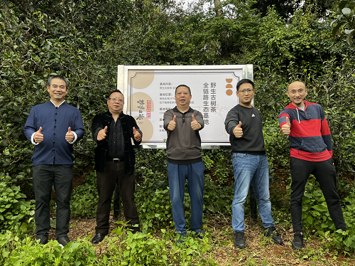 开云体育 开云平台海龙茶业哒哒的茶以普洱古树茶、星级茶空间获评行业创新品牌奖(图3) 开云体育 开云平台海龙茶业哒哒的茶以普洱古树茶、星级茶空间获评行业创新品牌奖(图3)