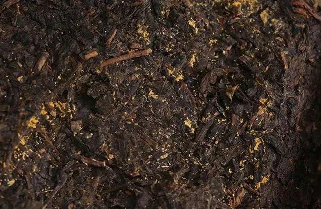 黑茶与开云 开云体育平台其他茶叶有何不同?(图4) 黑茶与开云 开云体育平台其他茶叶有何不同?(图4)