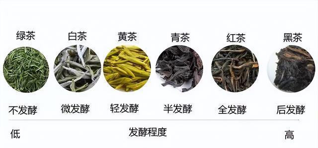 开云 开云体育APP我国茶叶史:从冠绝全球到沦为二流是输给了别人还是输给了自己(图5) 开云 开云体育APP我国茶叶史:从冠绝全球到沦为二流是输给了别人还是输给了自己(图5)