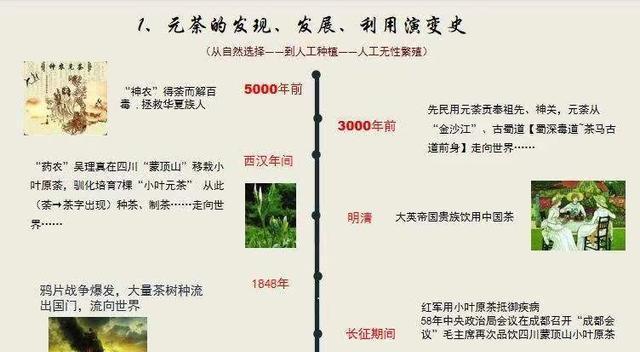 开云 开云体育APP我国茶叶史:从冠绝全球到沦为二流是输给了别人还是输给了自己(图3) 开云 开云体育APP我国茶叶史:从冠绝全球到沦为二流是输给了别人还是输给了自己(图3)